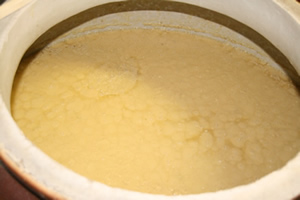 Moromi Mash